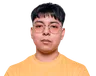 Steellar
