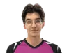 Hamsi