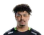 Rabelo