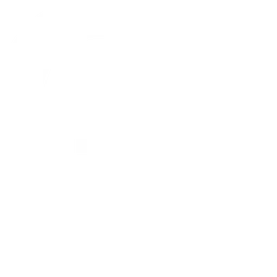 SK Gaming
