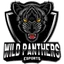Wild Panthers Esports