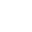 Shopify Rebellion