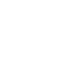 Tropa XV Academy