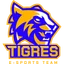 SDM Tigres