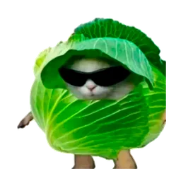 Lechuga Gaming