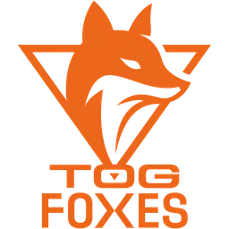 TeamOrangeGaming