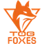 TeamOrangeGaming