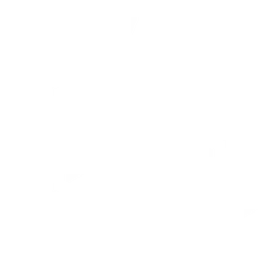 GIANTX