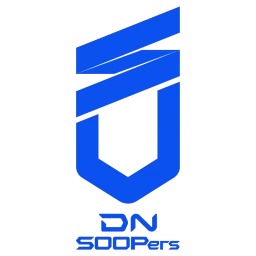 DNS Challengers