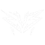 ZYB