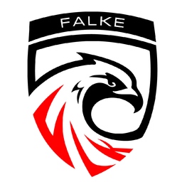 FALKE ESPORTS