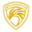 Docta Esports Club