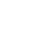 Shark Attack