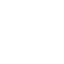 BRUTE