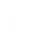 Primate